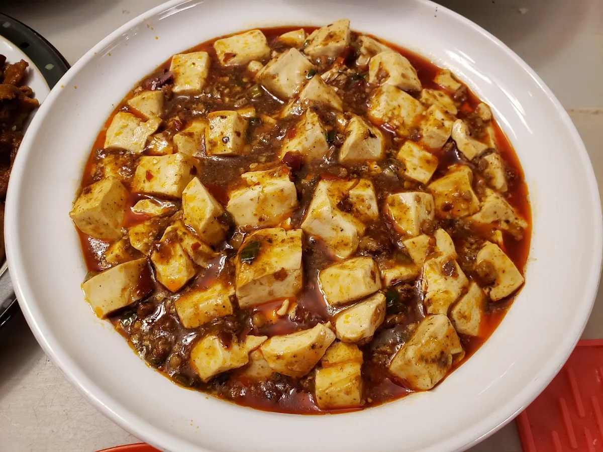 mapo tofu 麻婆豆腐